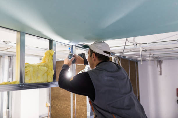 Best Garage Insulation Installation  in Huxley, IA